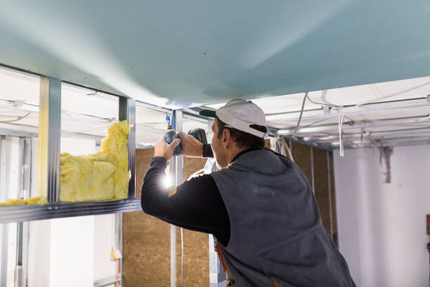Best Home Insulation Services  in Rose Hill, NC