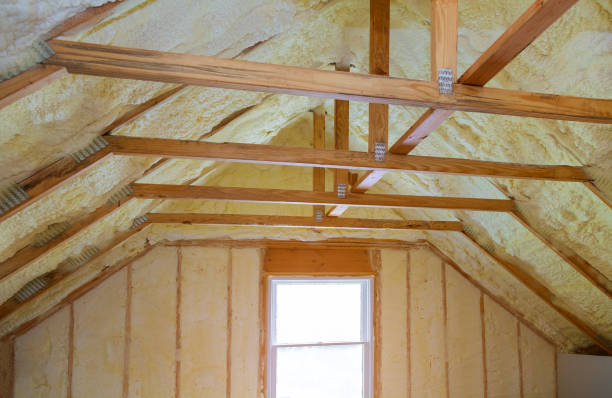 Best Wall Insulation Contractor  in Rose Hill, NC