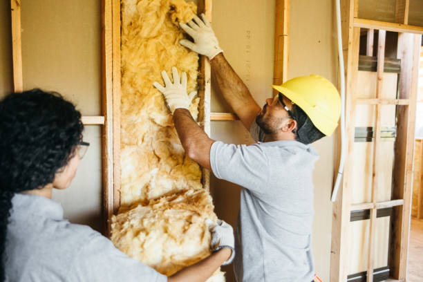 Insulation for New Construction in Rose Hill, NC
