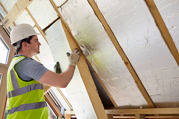 Best Insulation for New Construction  in Rose Hill, NC