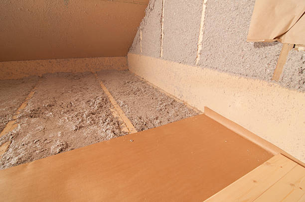 Best Professional Insulation Contractor  in Rose Hill, NC